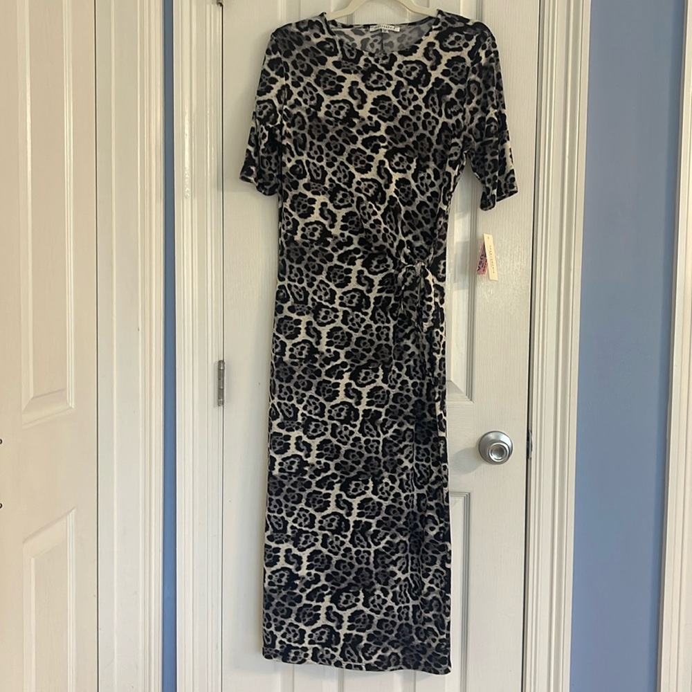 Tash + Sophie NWT Leopard Maxi Sz 6